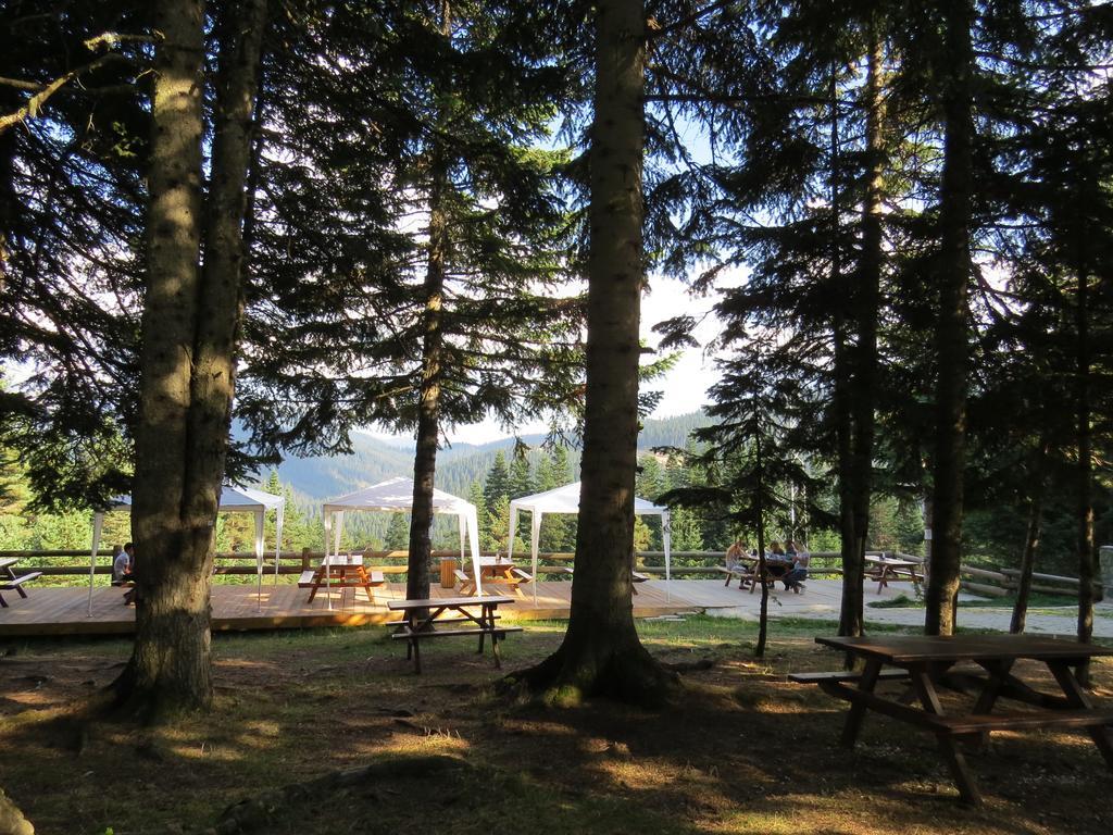Jura Hotels Ilgaz Mountain Resort Exterior foto
