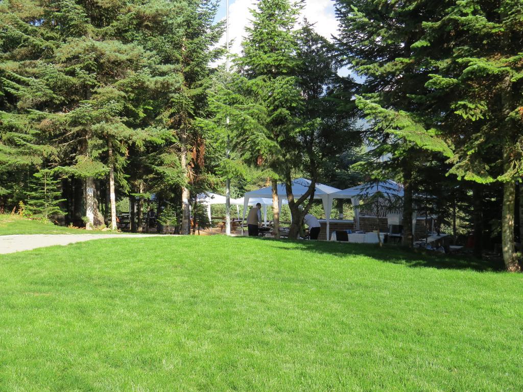 Jura Hotels Ilgaz Mountain Resort Exterior foto