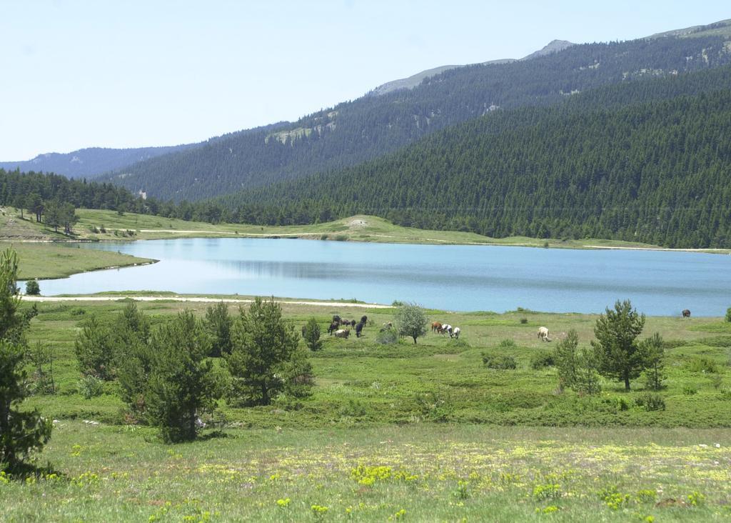 Jura Hotels Ilgaz Mountain Resort Exterior foto