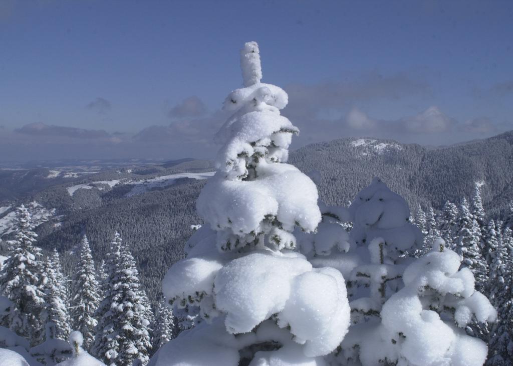 Jura Hotels Ilgaz Mountain Resort Exterior foto