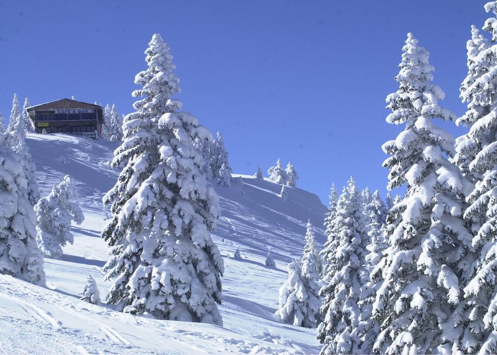 Jura Hotels Ilgaz Mountain Resort Exterior foto