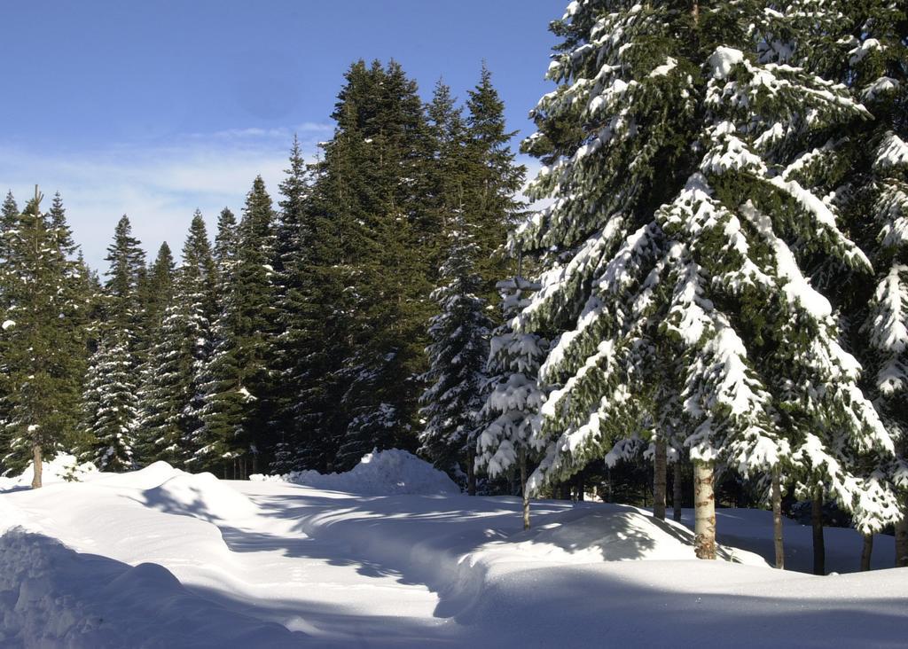 Jura Hotels Ilgaz Mountain Resort Exterior foto